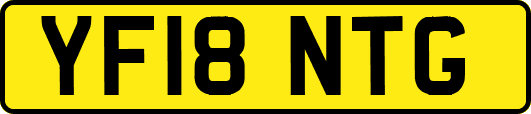 YF18NTG