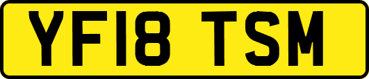 YF18TSM