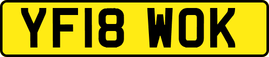 YF18WOK