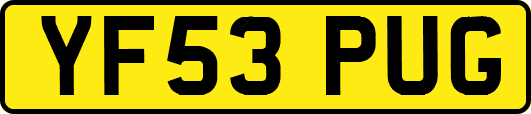 YF53PUG