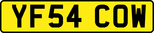 YF54COW