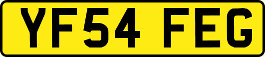 YF54FEG