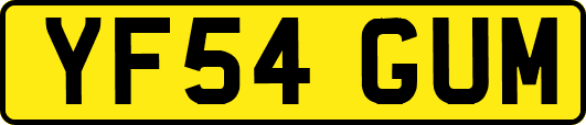 YF54GUM