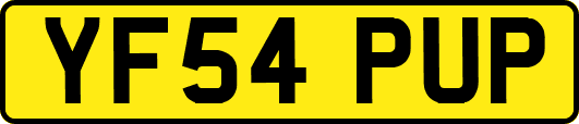 YF54PUP