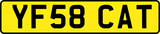 YF58CAT