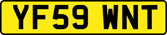 YF59WNT