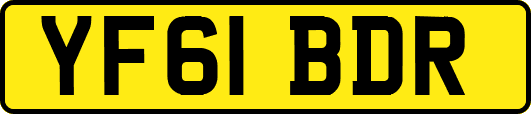 YF61BDR