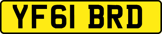 YF61BRD