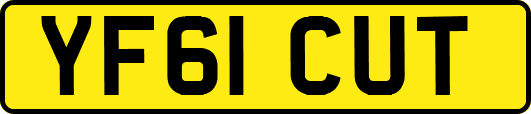 YF61CUT