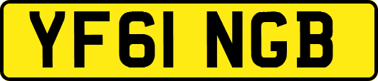 YF61NGB