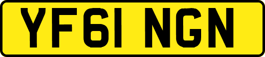 YF61NGN