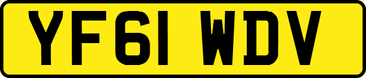 YF61WDV