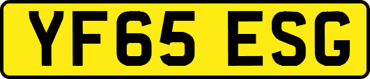 YF65ESG