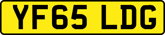 YF65LDG