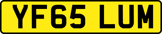 YF65LUM