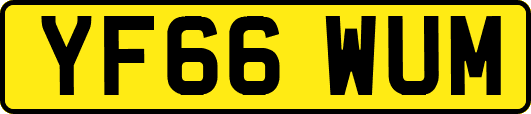 YF66WUM