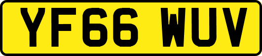YF66WUV
