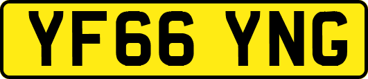 YF66YNG