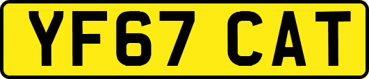 YF67CAT