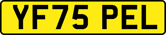 YF75PEL