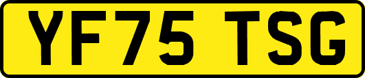 YF75TSG