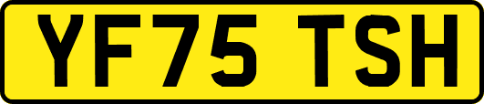 YF75TSH