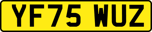 YF75WUZ