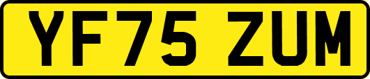 YF75ZUM