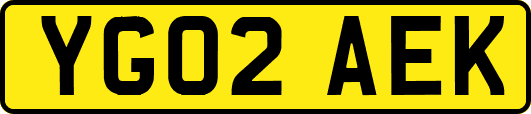 YG02AEK