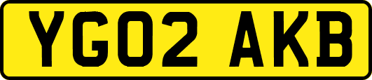 YG02AKB