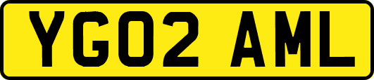 YG02AML
