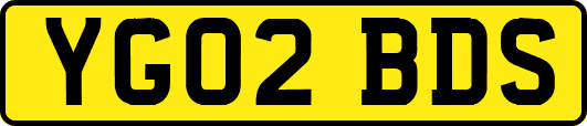 YG02BDS