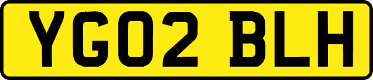 YG02BLH