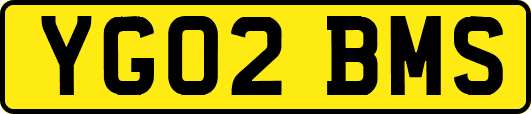 YG02BMS