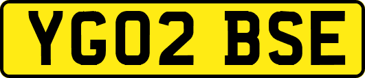 YG02BSE