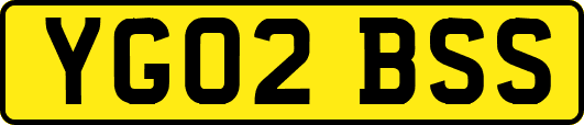 YG02BSS