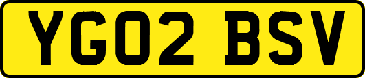 YG02BSV