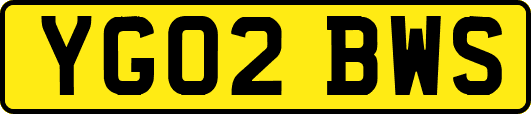 YG02BWS