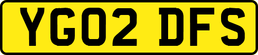 YG02DFS