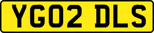 YG02DLS
