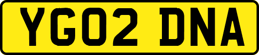 YG02DNA