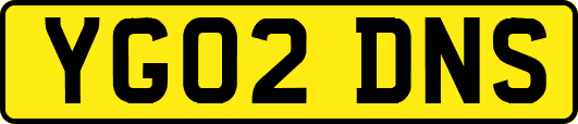 YG02DNS