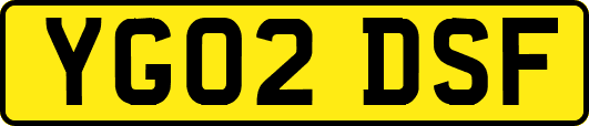 YG02DSF