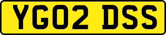 YG02DSS
