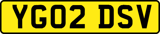 YG02DSV