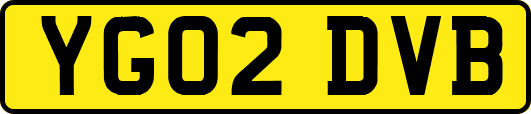 YG02DVB
