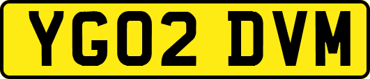 YG02DVM