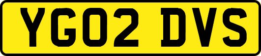 YG02DVS