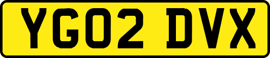YG02DVX