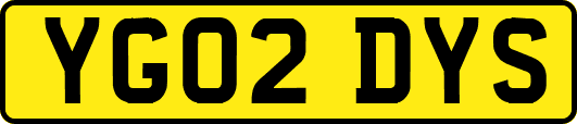 YG02DYS